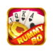 Download Rummy Bo App {Unlimited Coin Bonus 41}